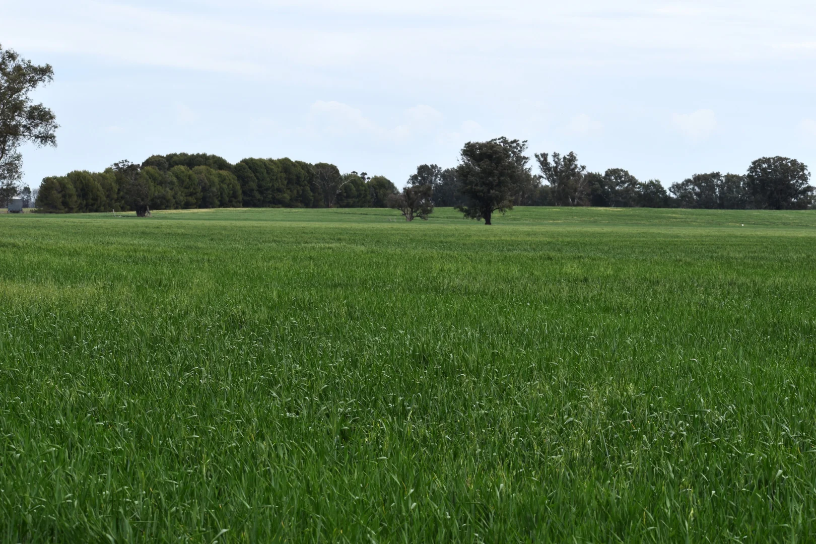 Additional image 8 of 2071 Yarrabandai Road, Bedgerabong NSW 2871