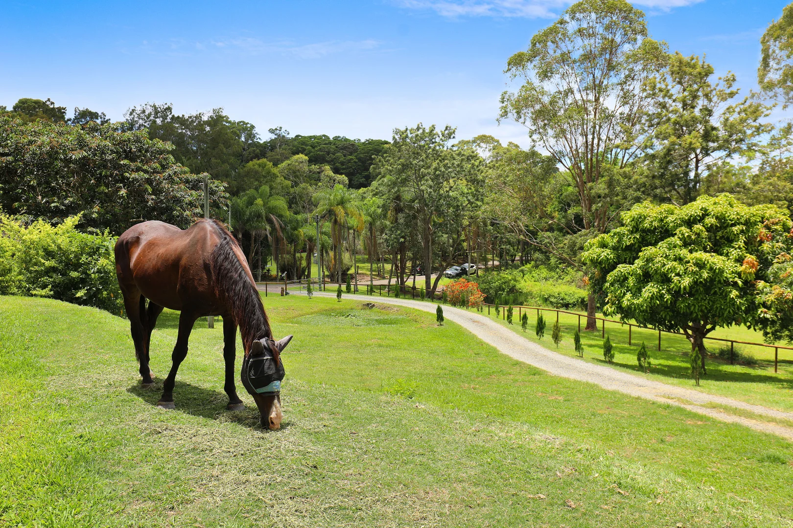 Additional image 21 of 308 Dulong Road, Dulong QLD 4560