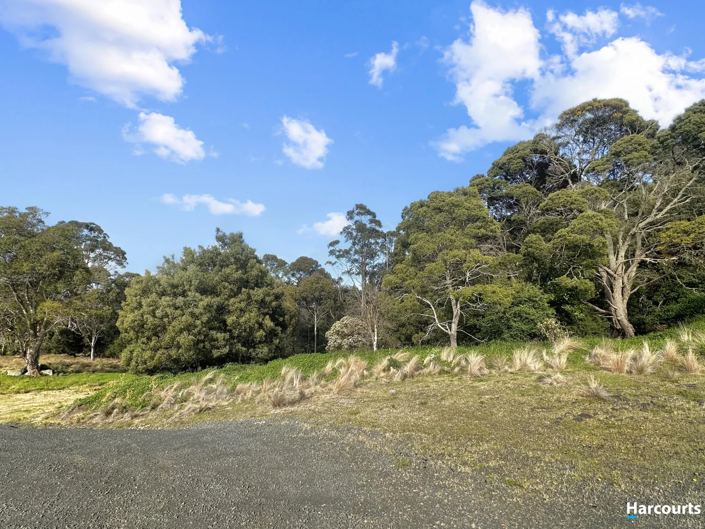 Additional image 5 of 29 John Street, Cornwall TAS 7215