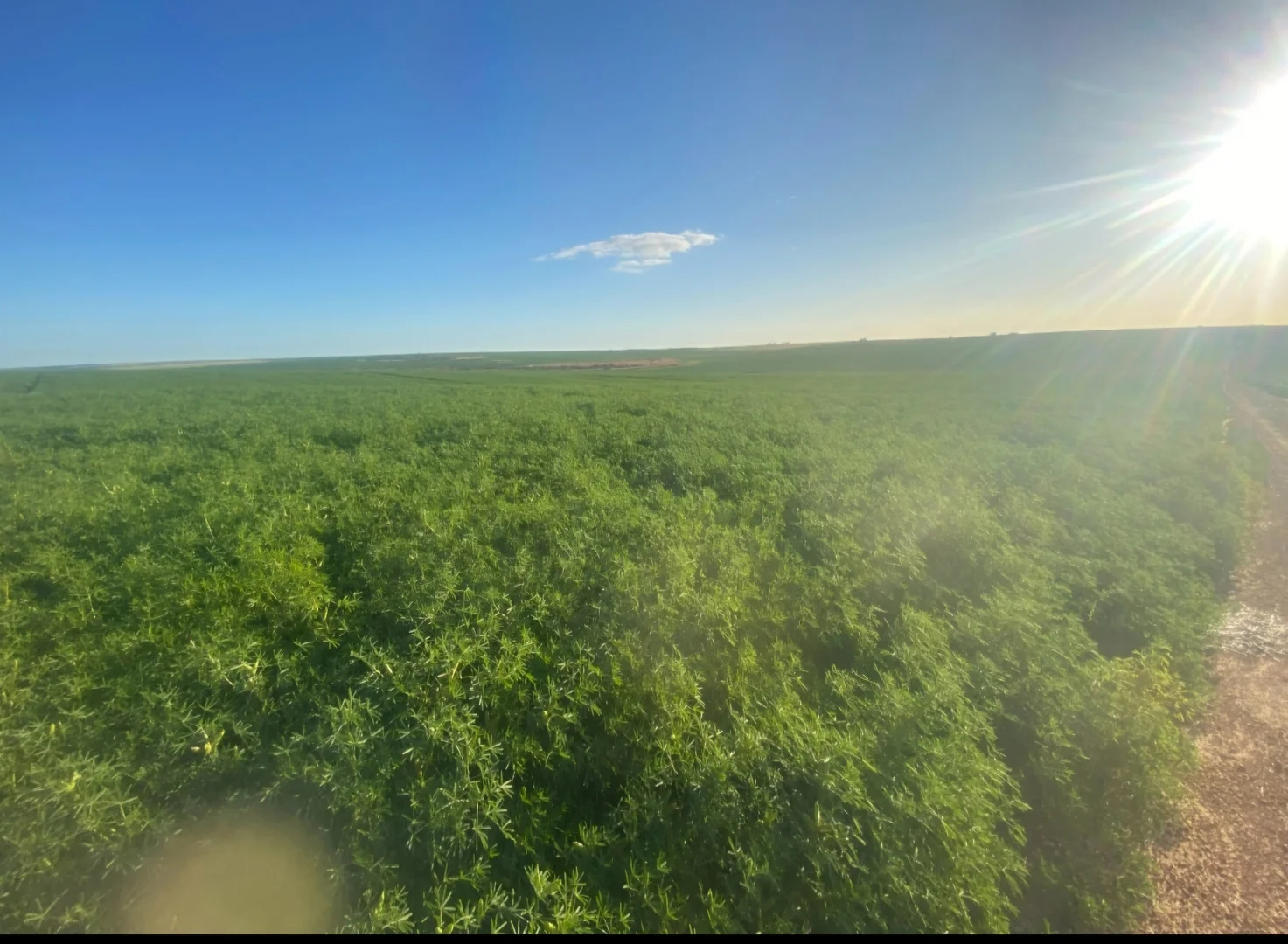 Additional image 24 of Valentine Road, Wicherina WA 6532