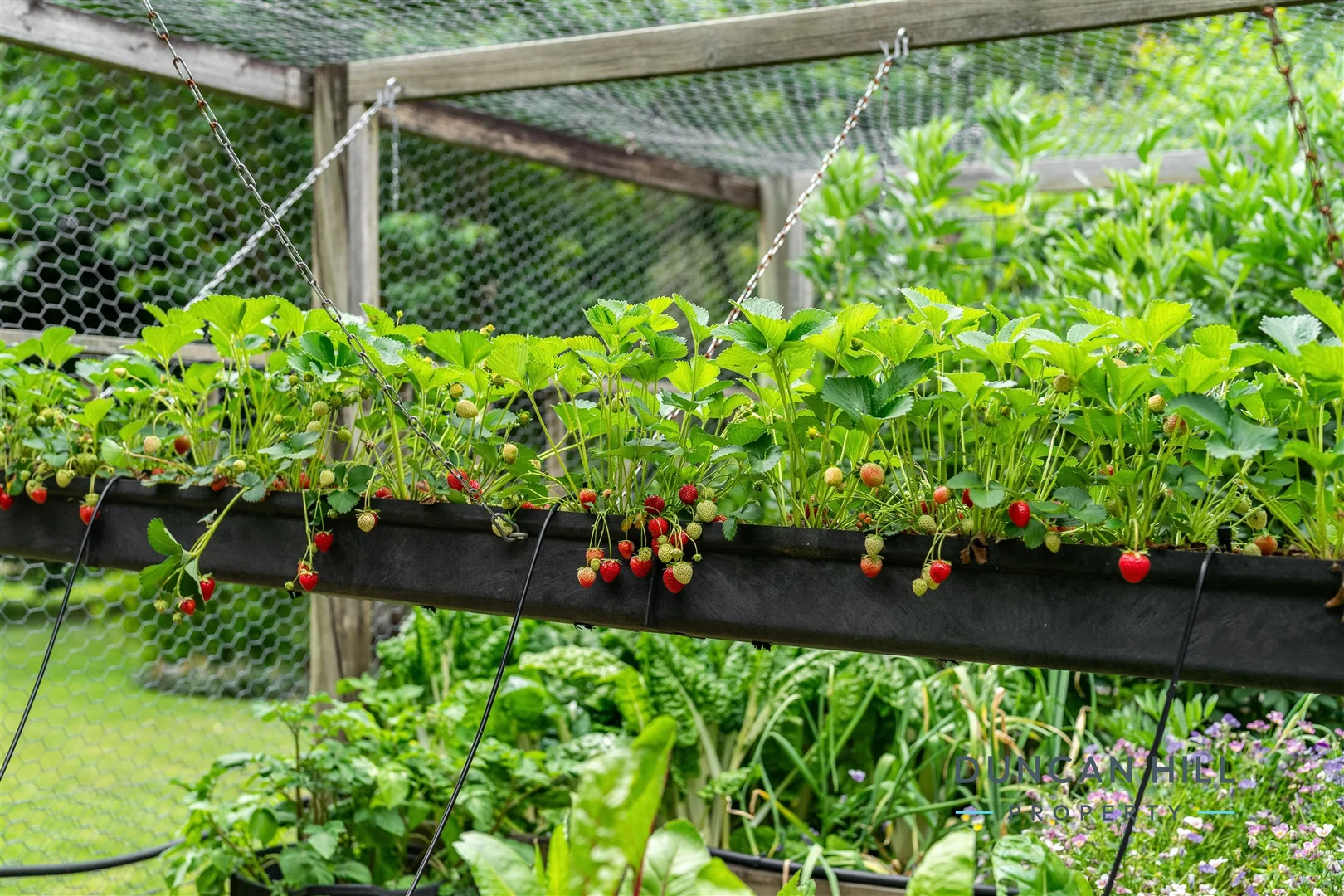 Additional image 20 of 42 Charlotte Street, Burradoo NSW 2576