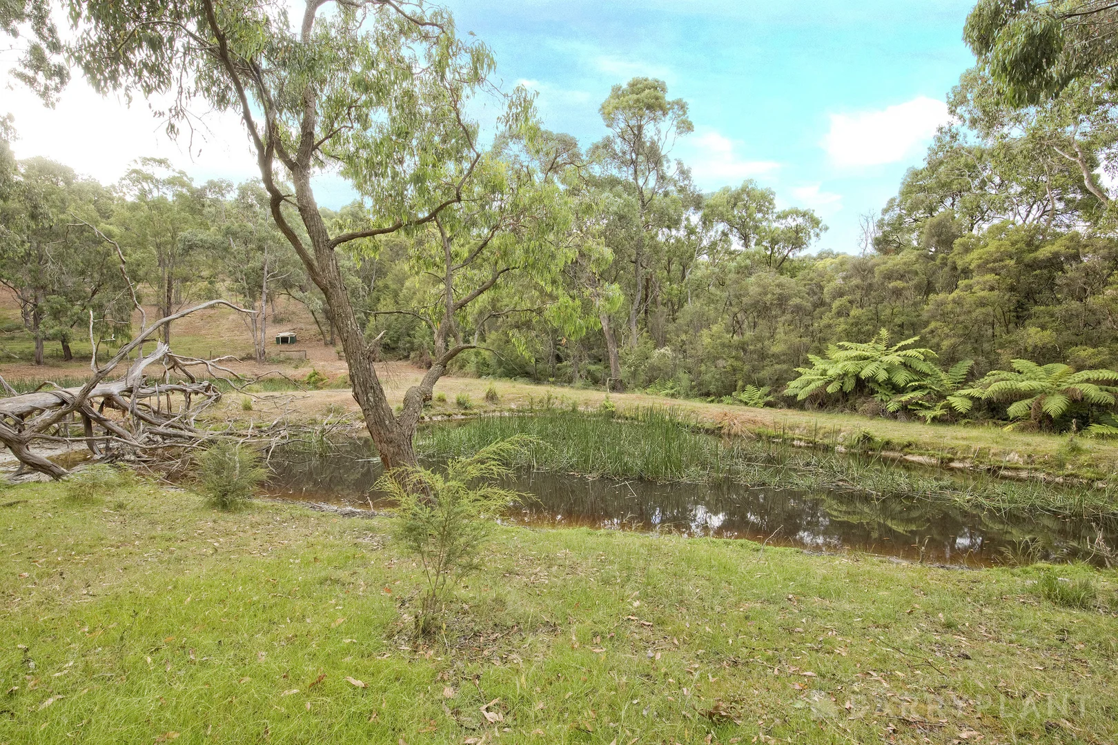 Additional image 22 of 435 Tschampions Road, Macclesfield VIC 3782