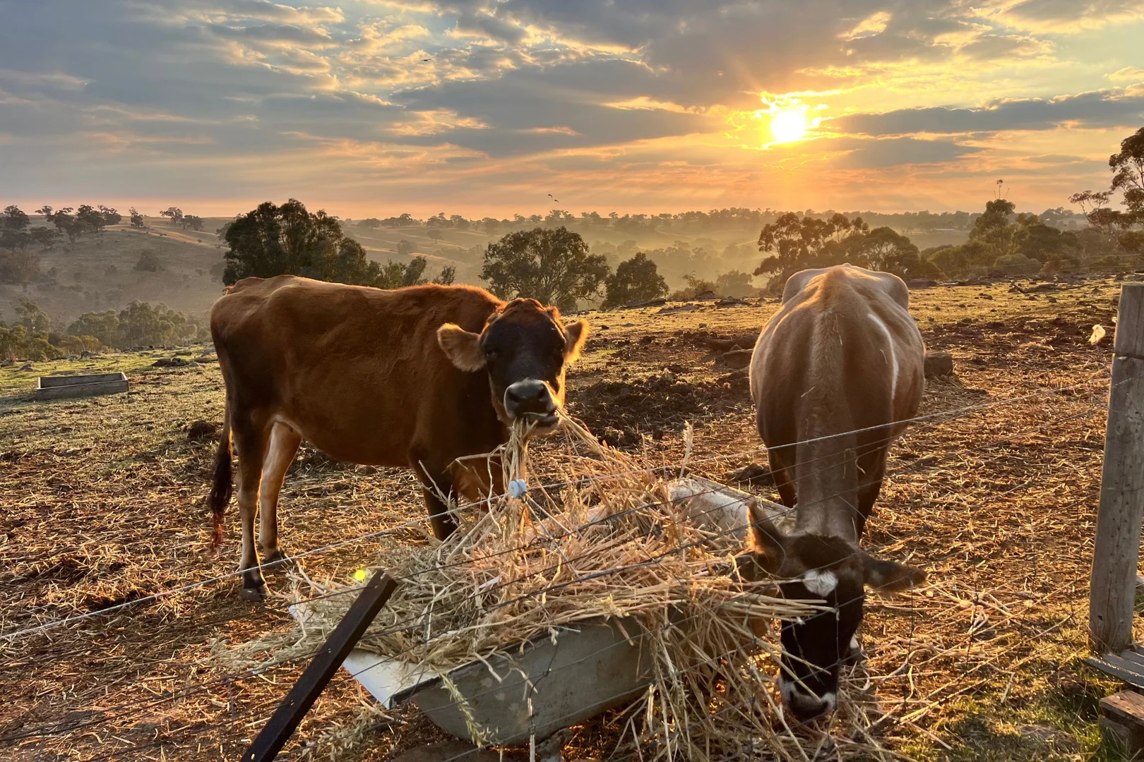 Additional image 11 of 2106 Heathcote Redesdale Road, Redesdale VIC 3444