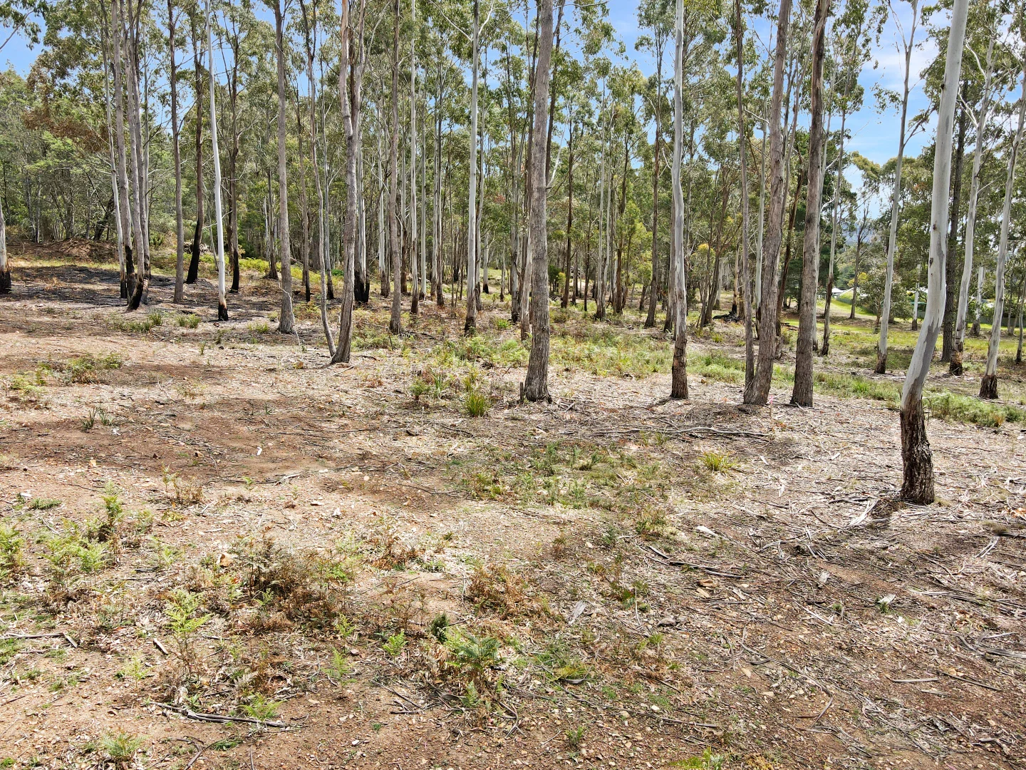 Additional image 6 of 32 Irish Town Road - Part PID-2697710, St Marys TAS 7215