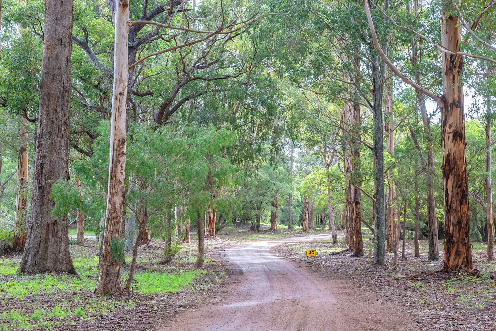 Lot Y/423 Sebbes Road, Forest Grove WA 6286