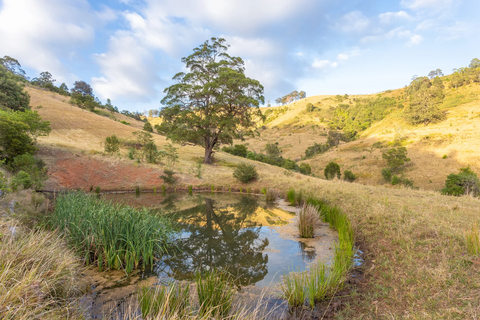Additional image 21 of 152 Red Gully Road, Burrell Creek NSW 2429
