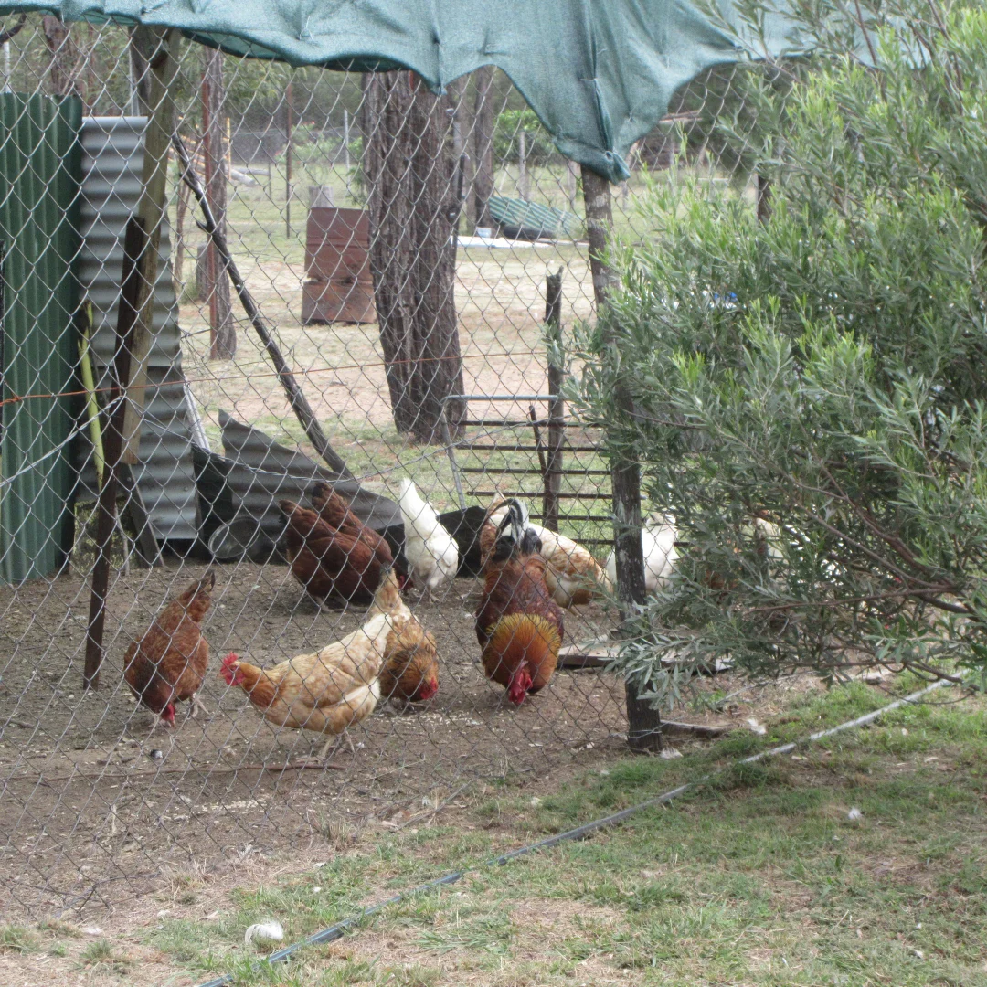 Additional image 9 of Tara QLD 4421