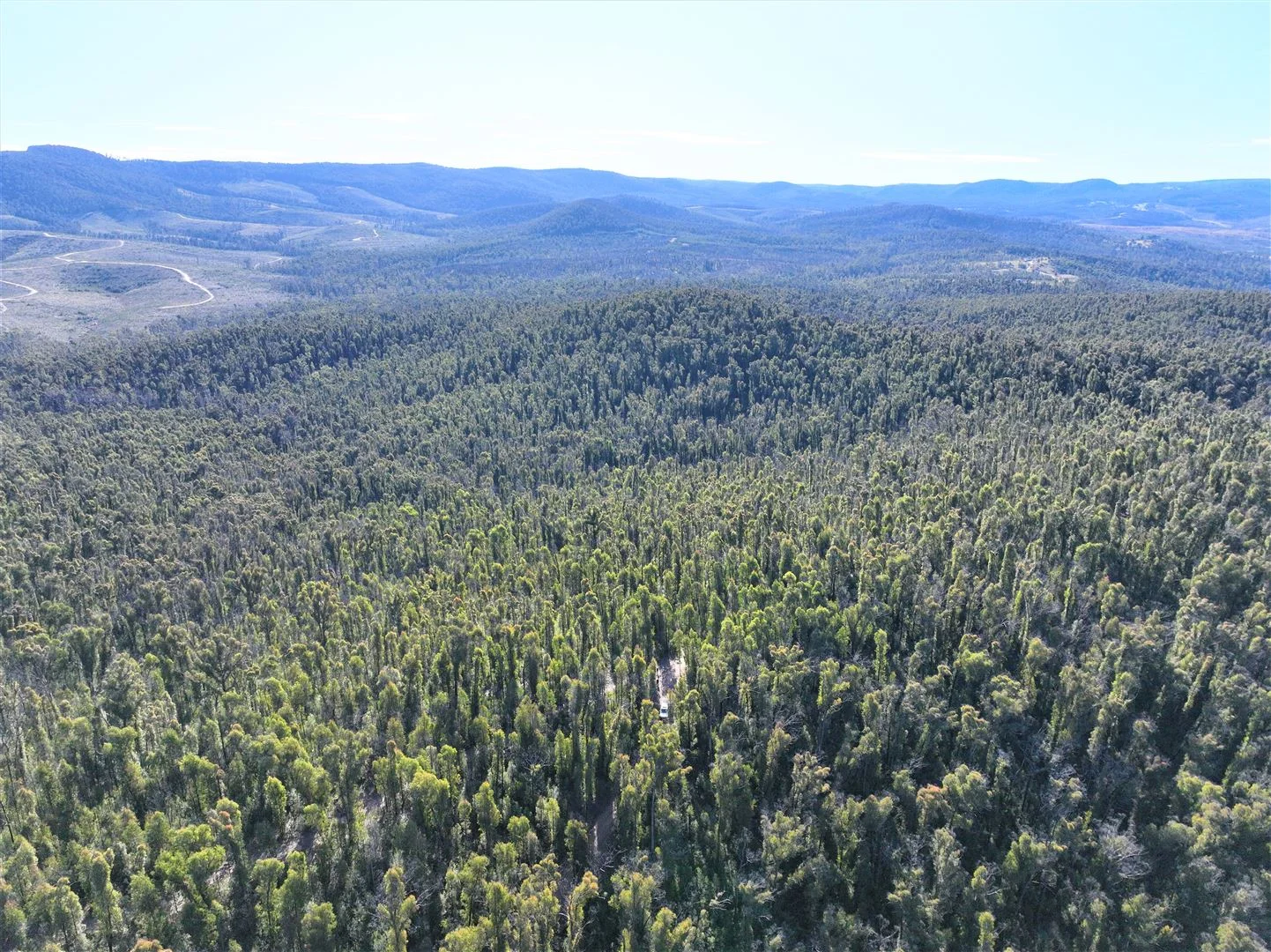 Additional image 13 of Lot 34, 35, 36, 79 Monaro Highway, Rockton NSW 2632