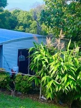 Additional image 8 of 807 RESERVE CREEK ROAD, Reserve Creek NSW 2484