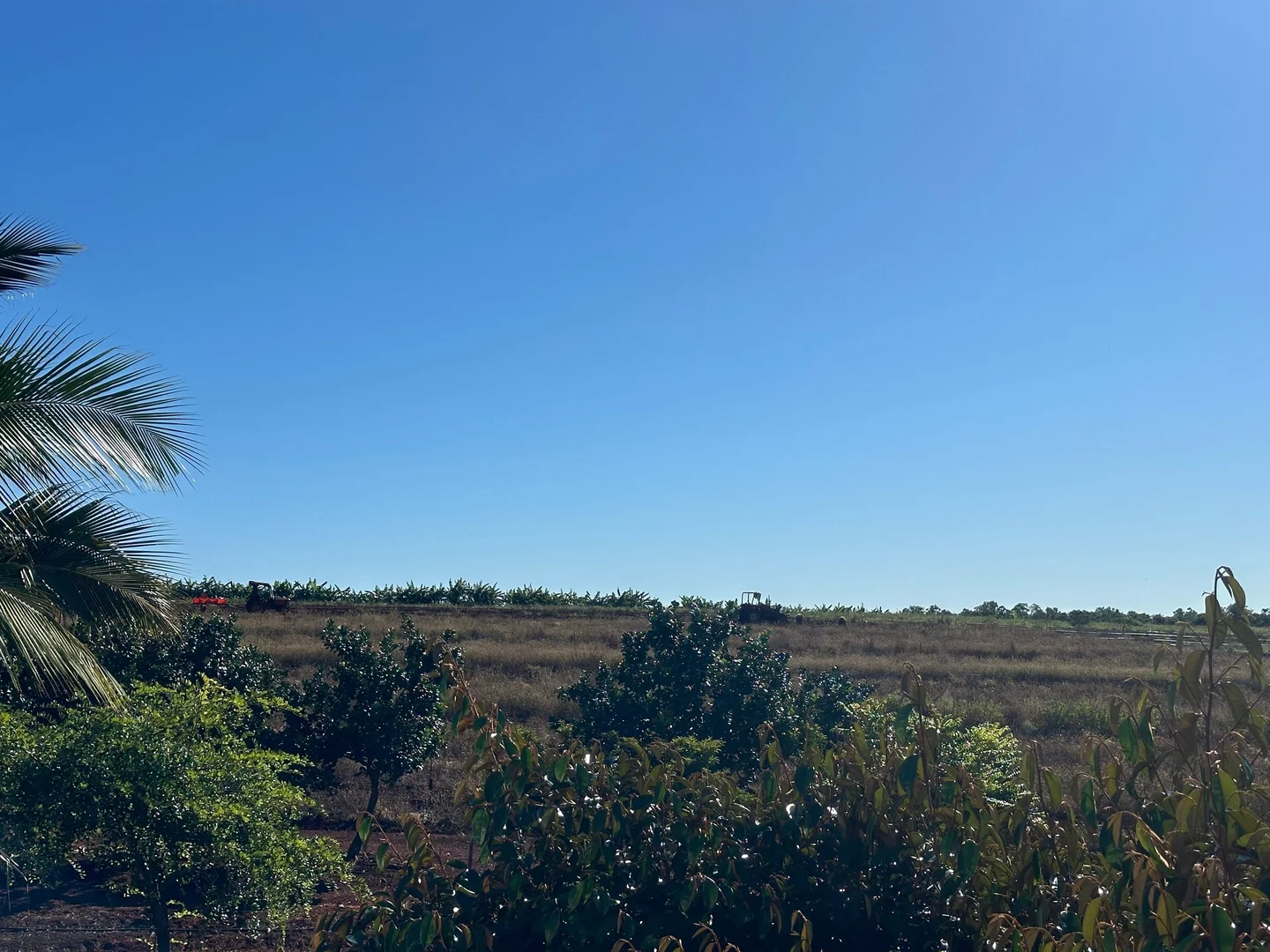 Additional image 7 of 117 Gorries Road, North Isis QLD 4660