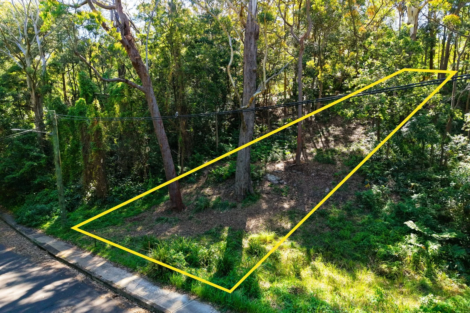 Additional image 3 of 49 Finlay Road, Warrawee NSW 2074