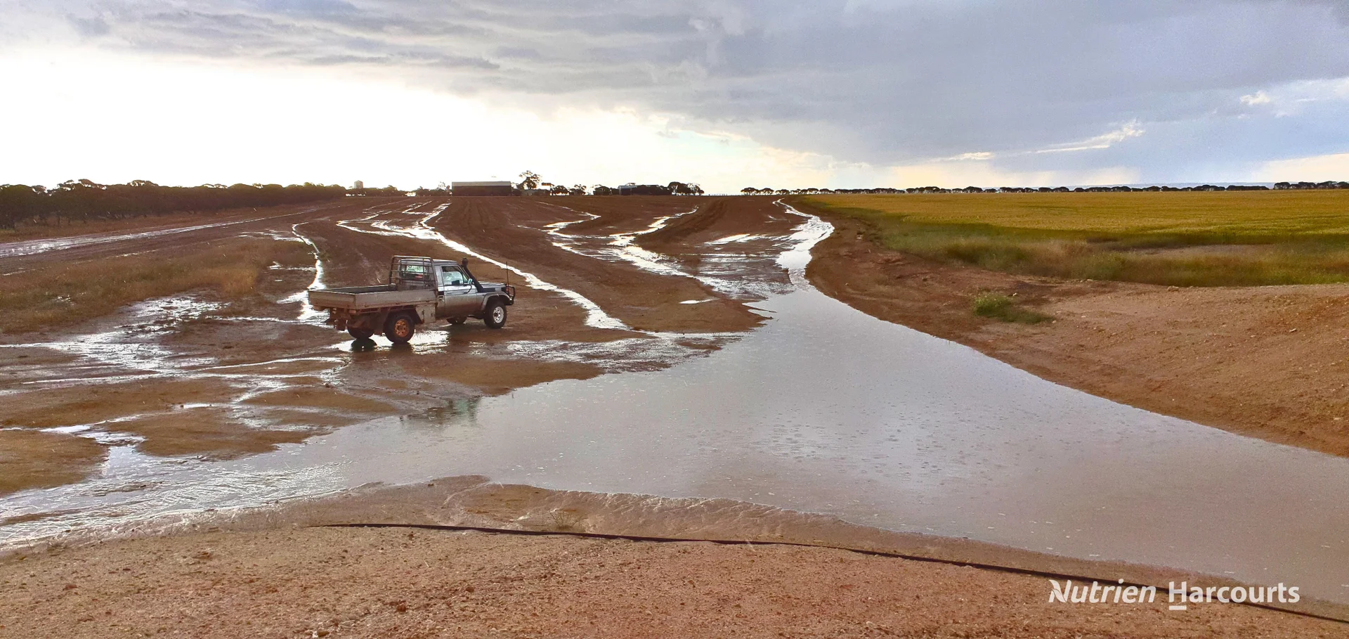 Additional image 13 of . Waitavalo Farms, Narembeen WA 6369