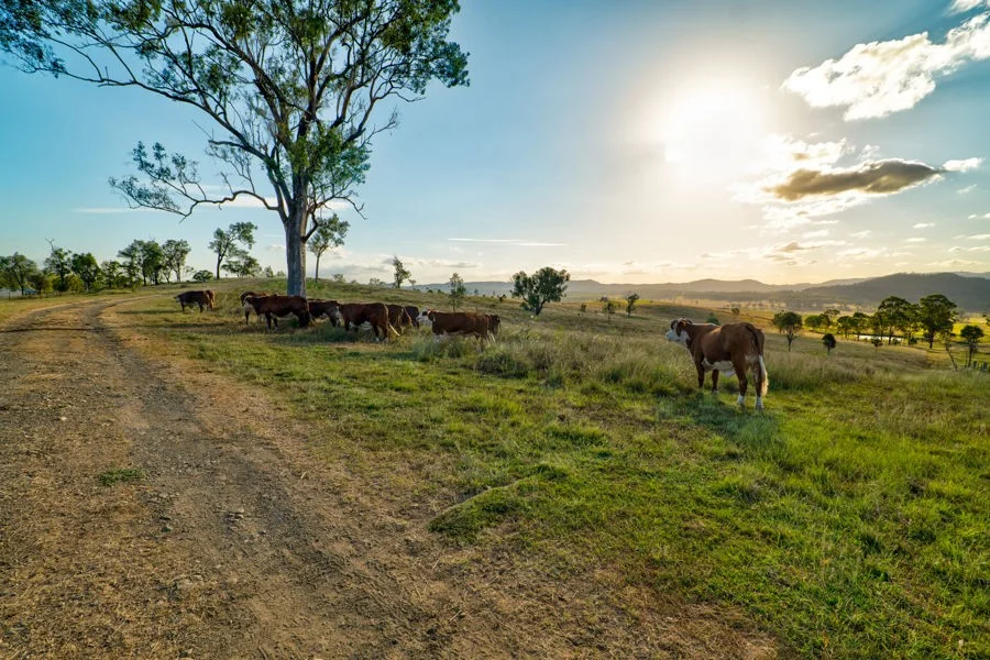 Additional image 16 of Lot 244 Huntley Road, Biarra QLD 4313
