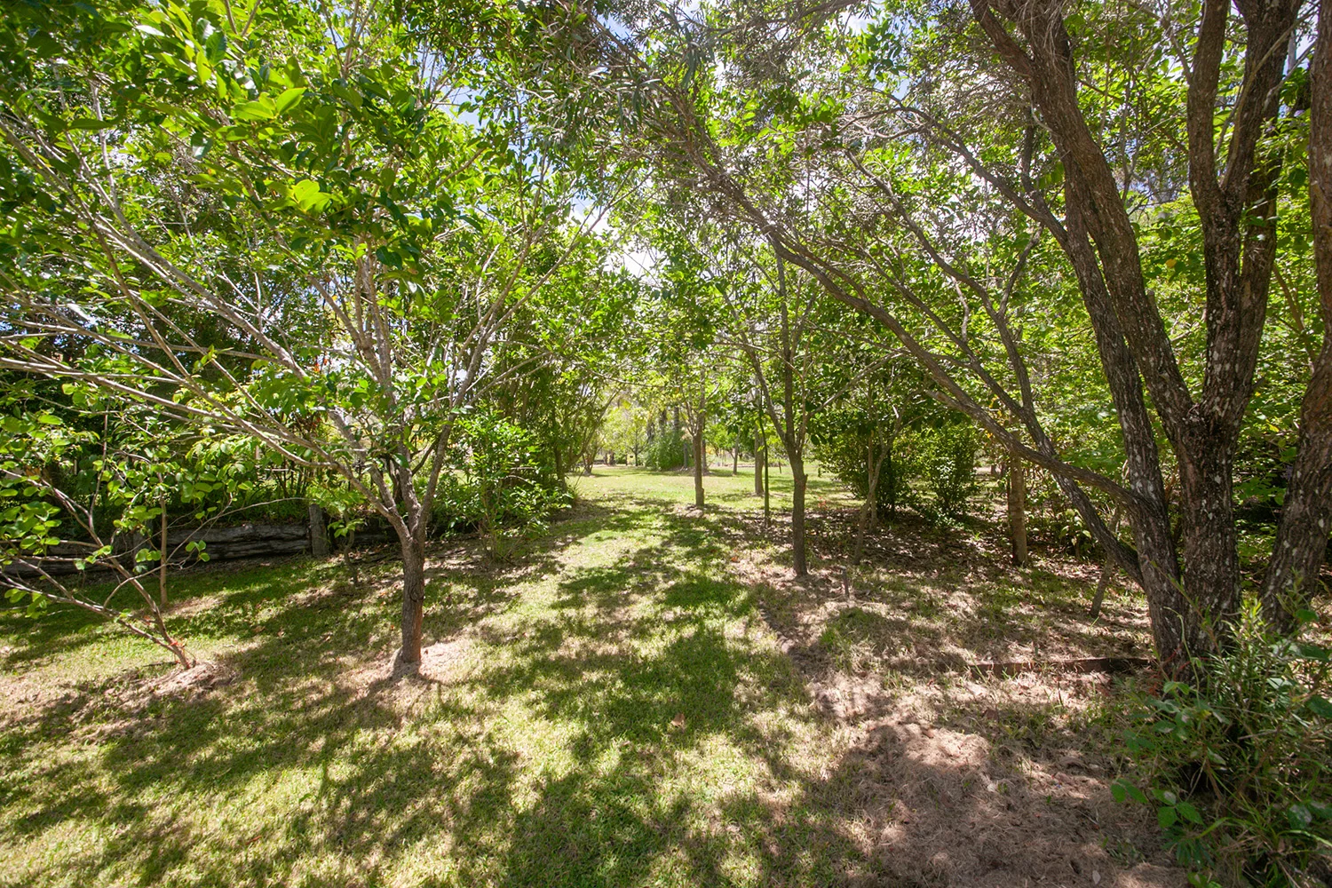 Additional image 39 of 608 Cross Rd, Euleilah QLD 4674