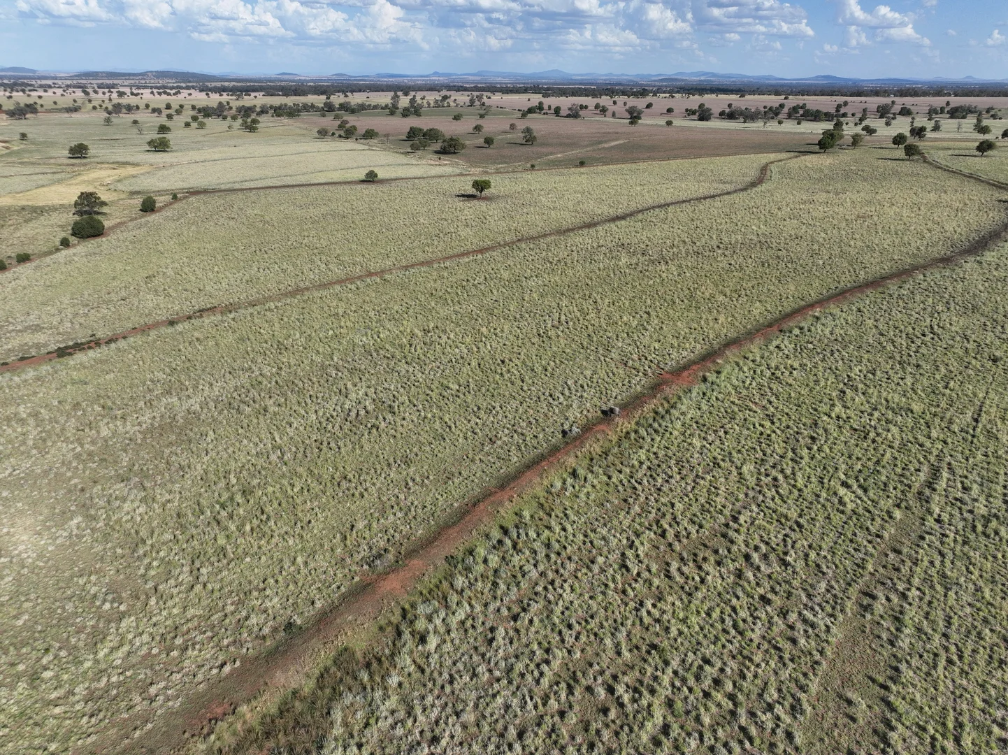 Additional image 39 of 1676 Willala Road, Boggabri NSW 2382