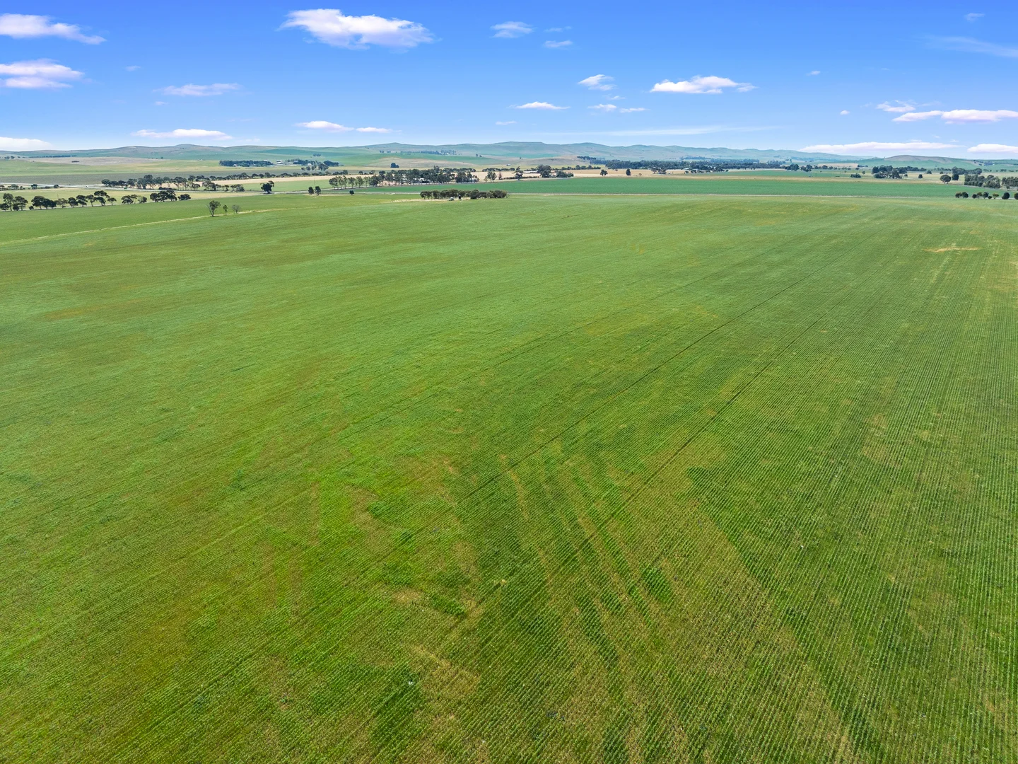 Additional image 7 of 1 Tohls Road, Booborowie SA 5417