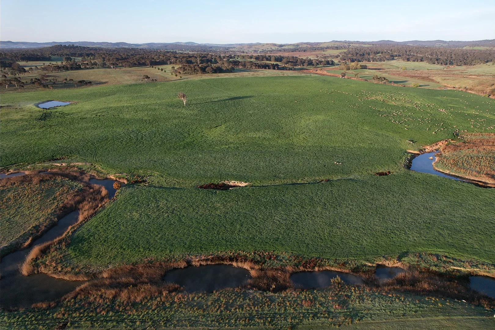 Additional image 14 of 569 & 640 Blakney Creek North Road, Blakney Creek NSW 2581