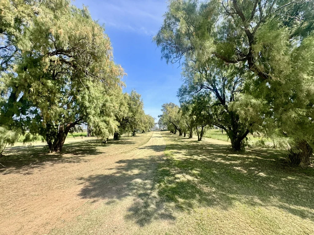 Additional image 17 of Gunnedah NSW 2380