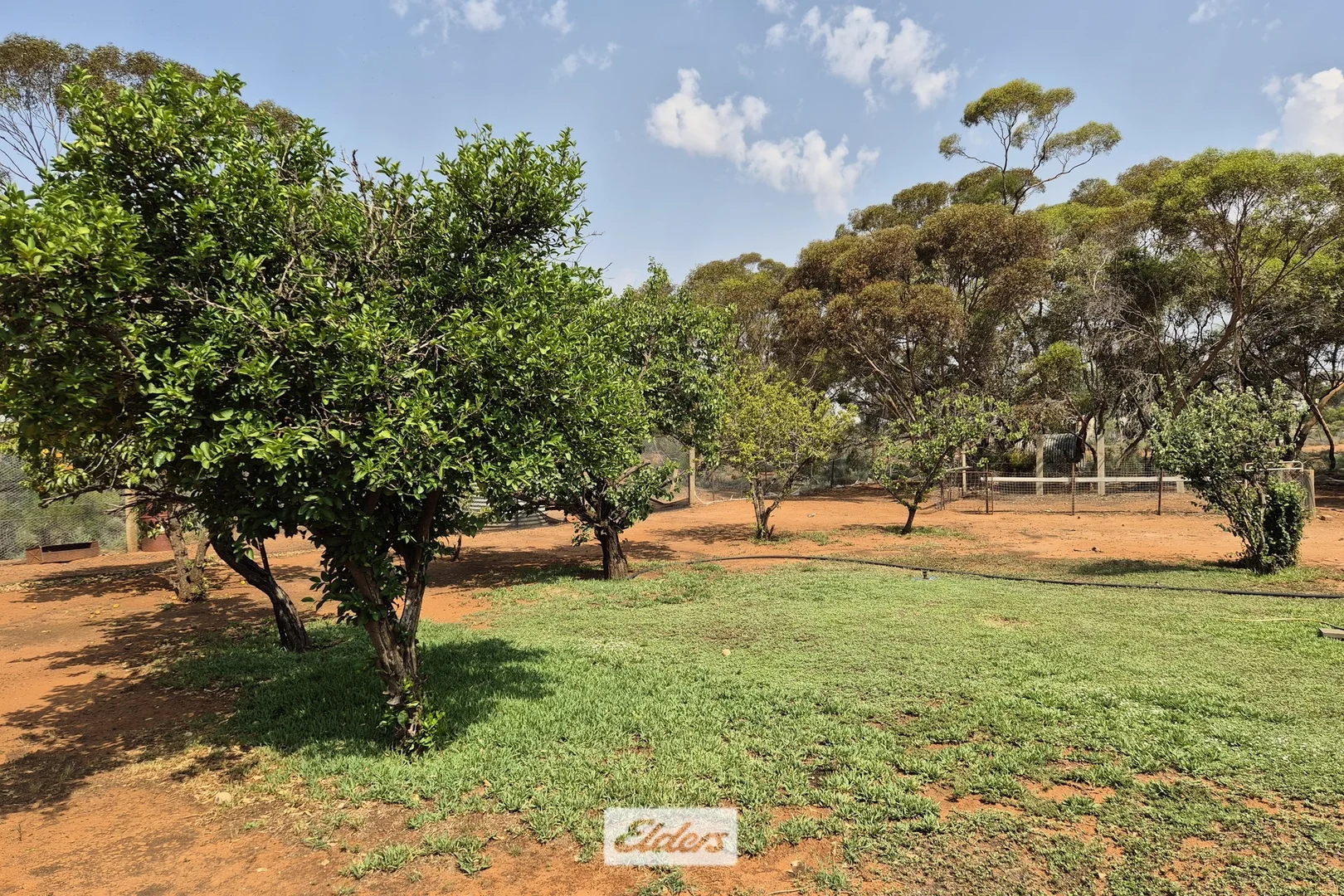 Additional image 10 of 877 Parallel Road, Manangatang VIC 3546