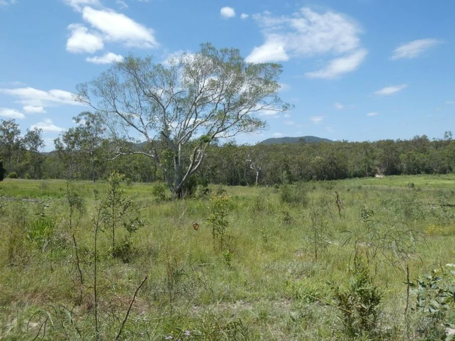 Additional image 4 of Lot 41 Moolyung Road, Waterloo QLD 4673