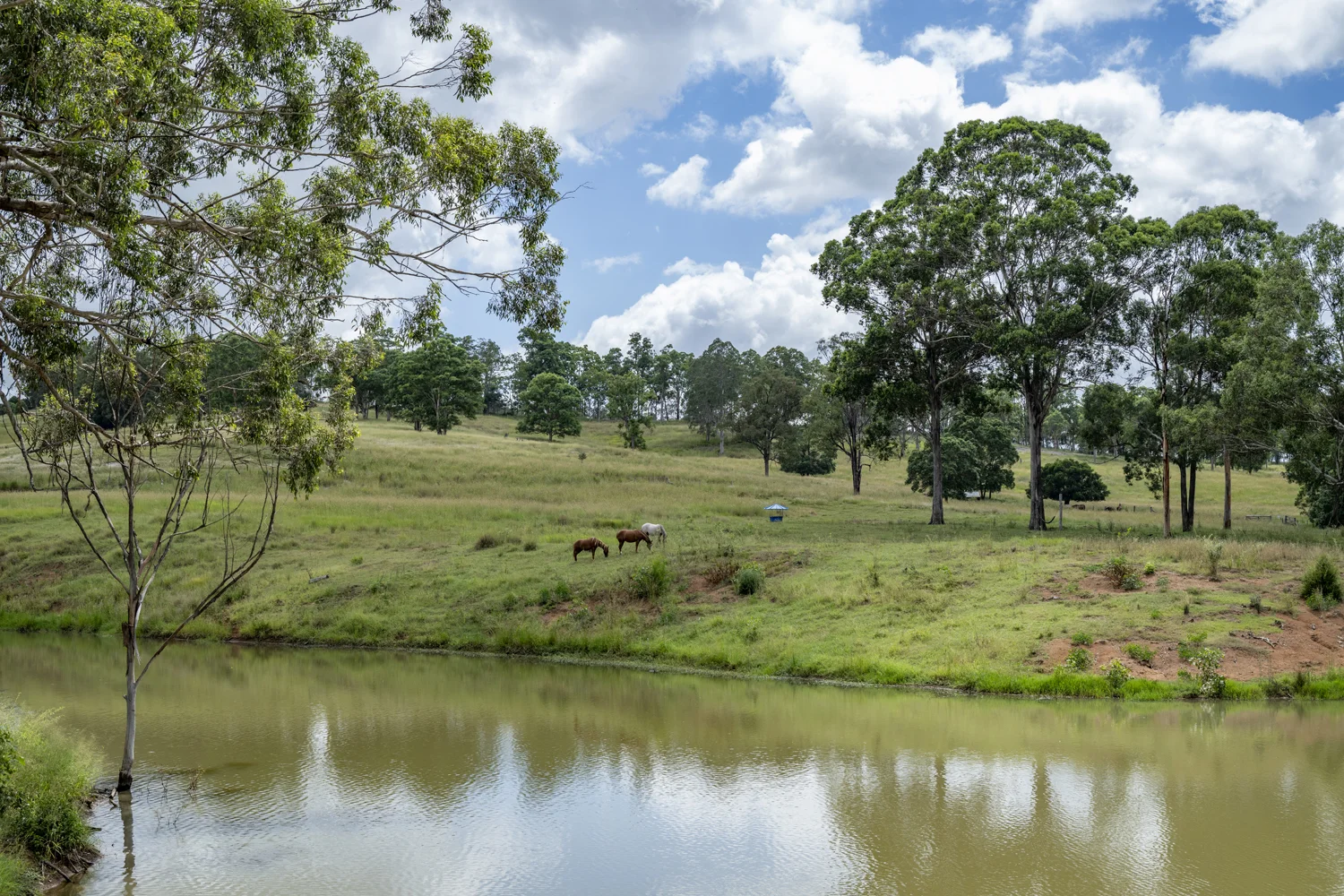 Additional image 6 of Goomeribong QLD 4601