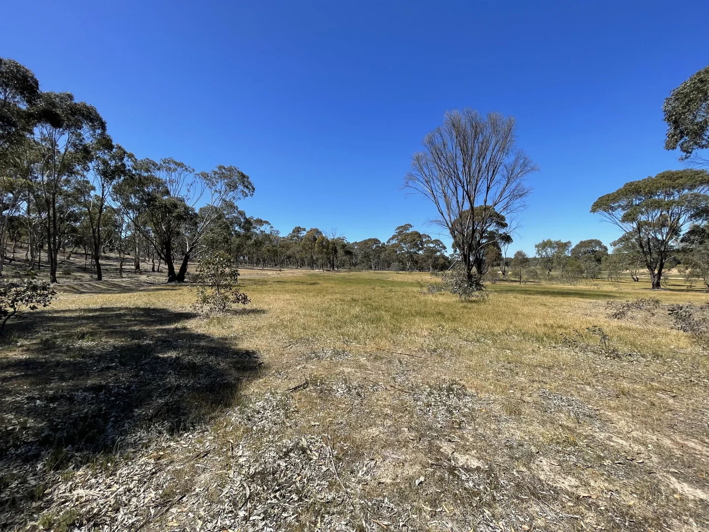 Additional image 16 of Allotment 7D Wedderburn Road, St Arnaud East VIC 3477