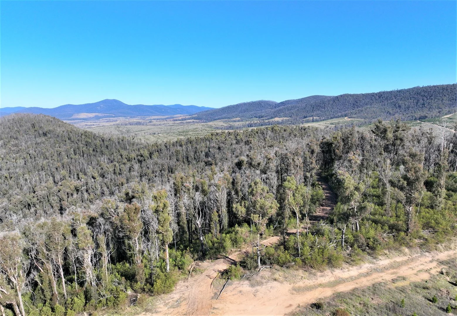Additional image 6 of Lot 34, 35, 36, 79 Monaro Highway, Rockton NSW 2632