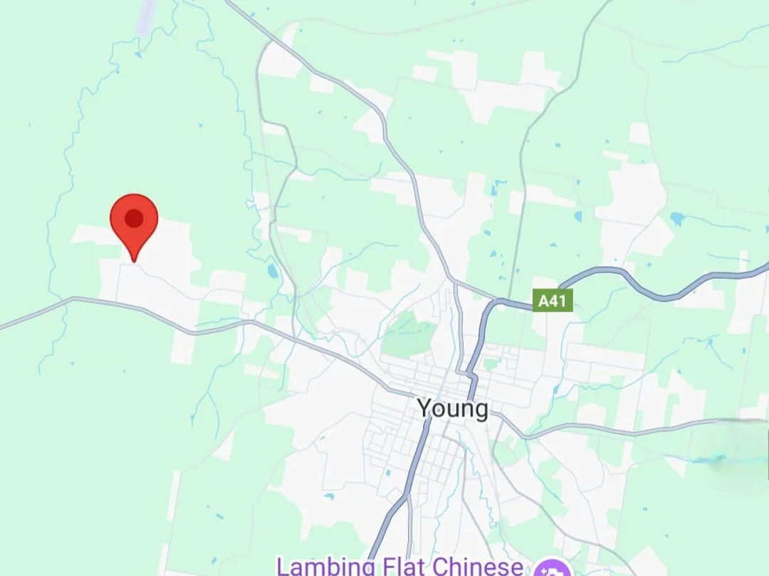 Additional image 12 of 225 Belmore Road, Young NSW 2594