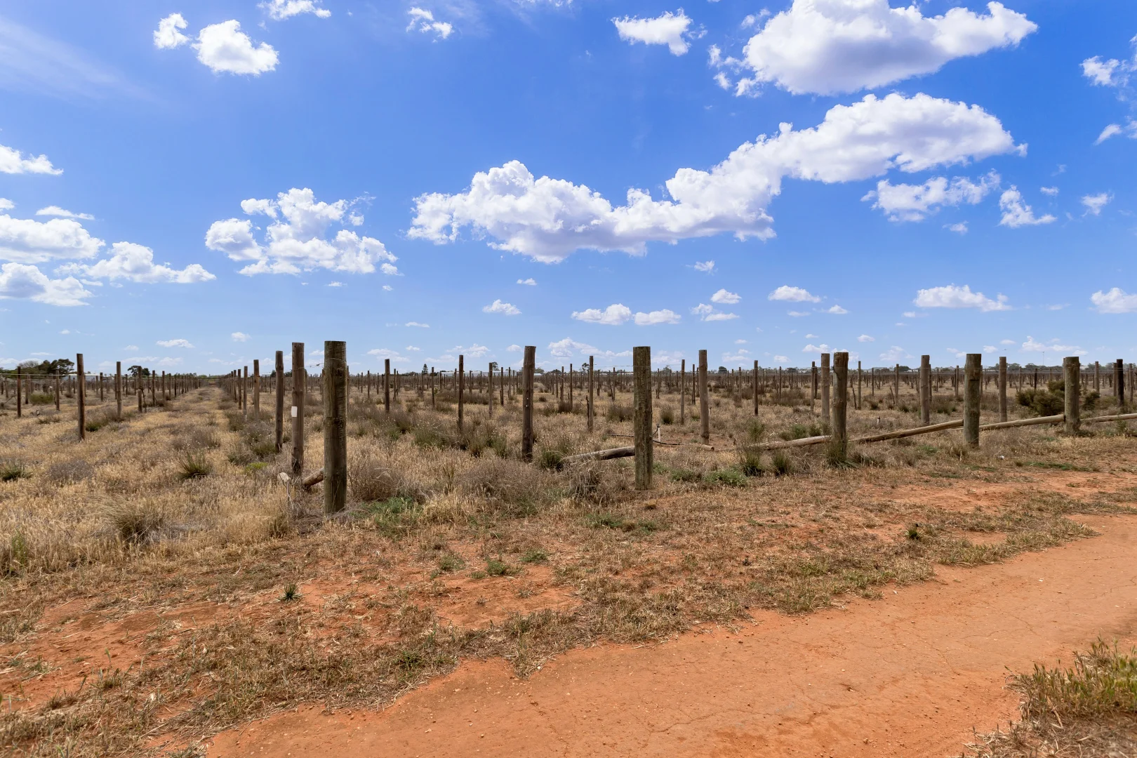 Additional image 5 of 37 Fraser Drive, Merbein VIC 3505