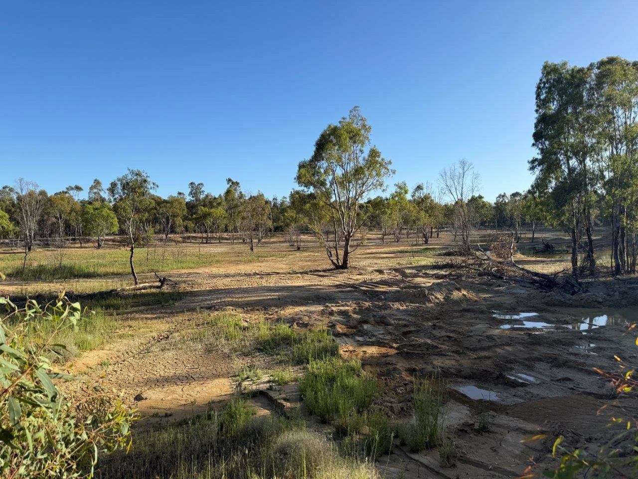 Additional image 7 of Lot 53 Old Deniliquin Road, Moama NSW 2731