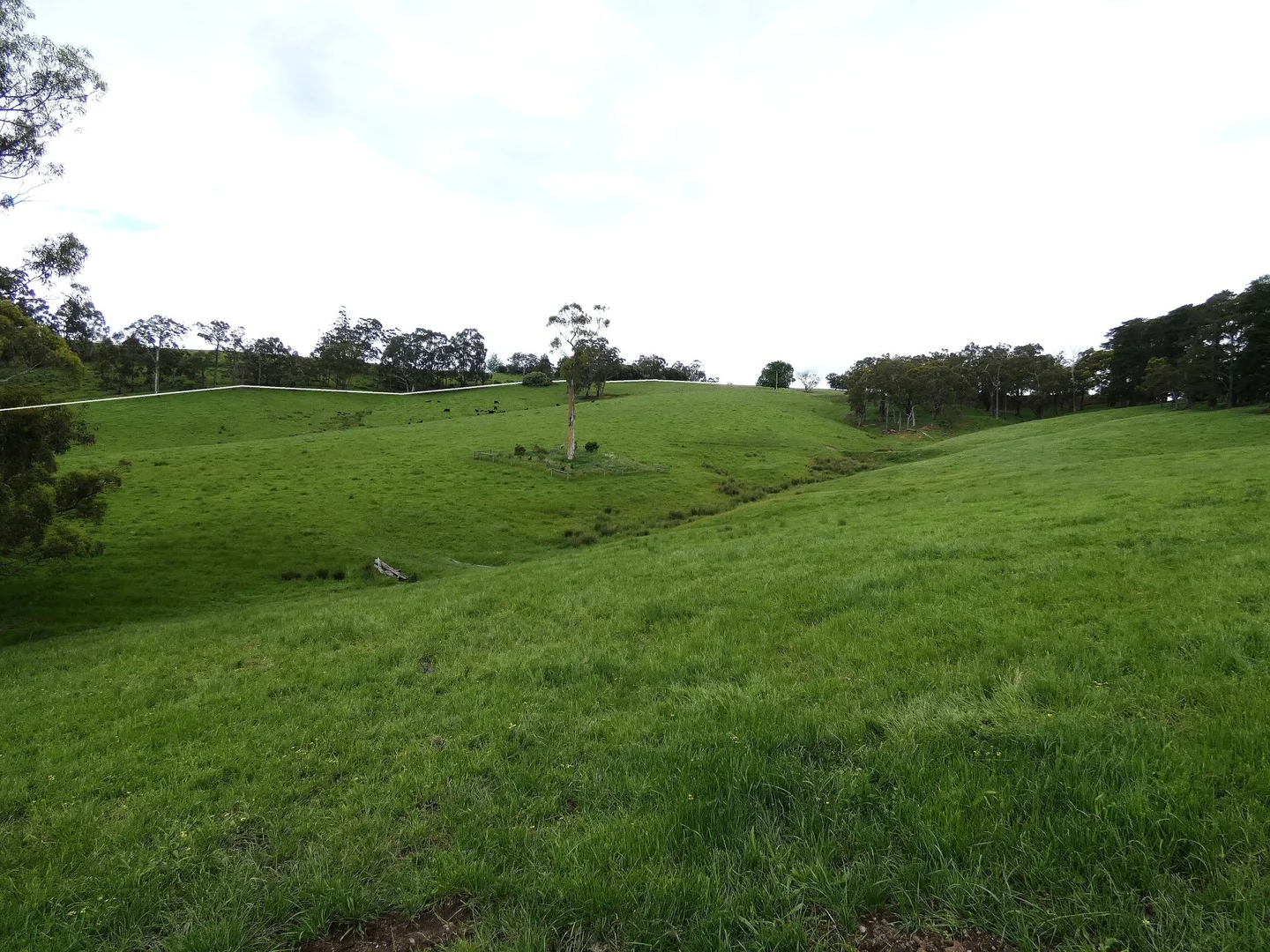 Additional image 20 of 125 Sheepstation Creek Road, Yellingbo VIC 3139