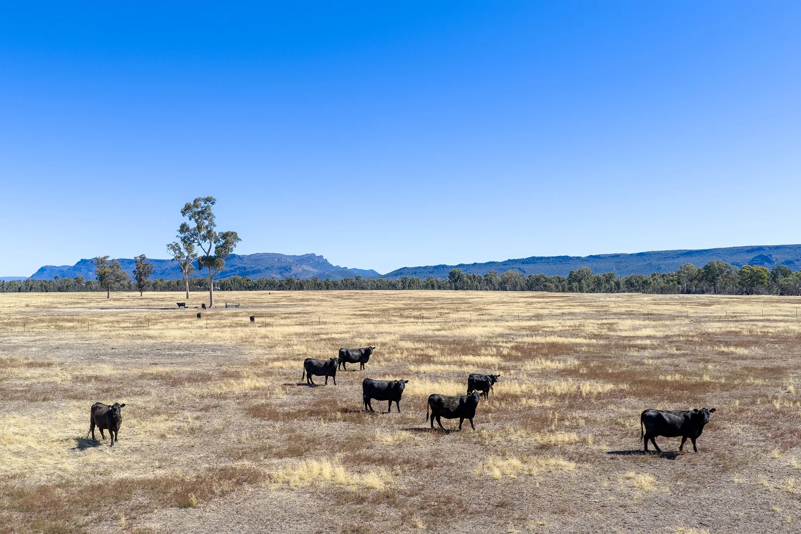 Golton South Road, Dadswells Bridge VIC 3385