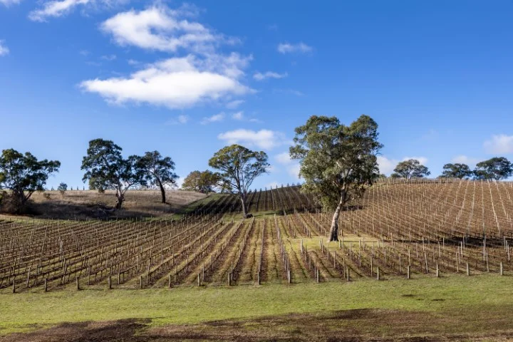 Additional image 8 of 15 Kenton Hill Road, Gumeracha SA 5233