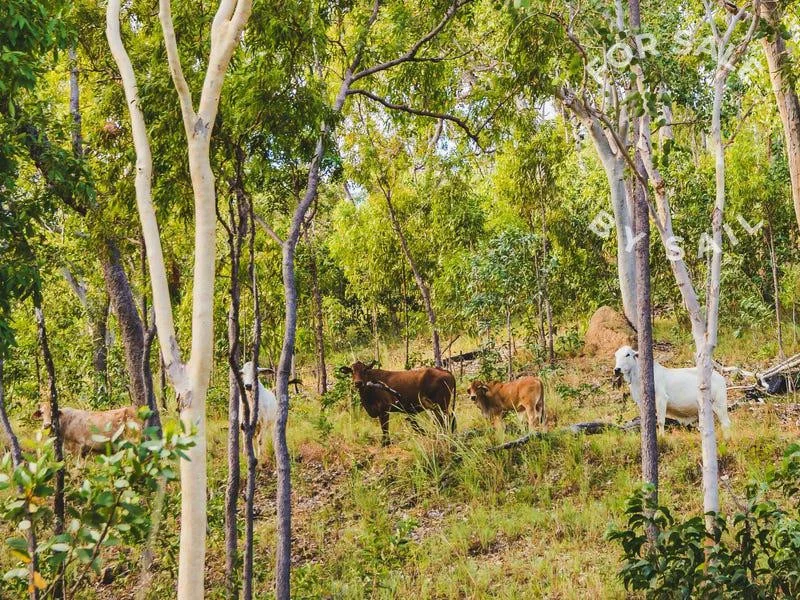Additional image 3 of 2354 Mulligan Highway, Cooktown QLD 4895