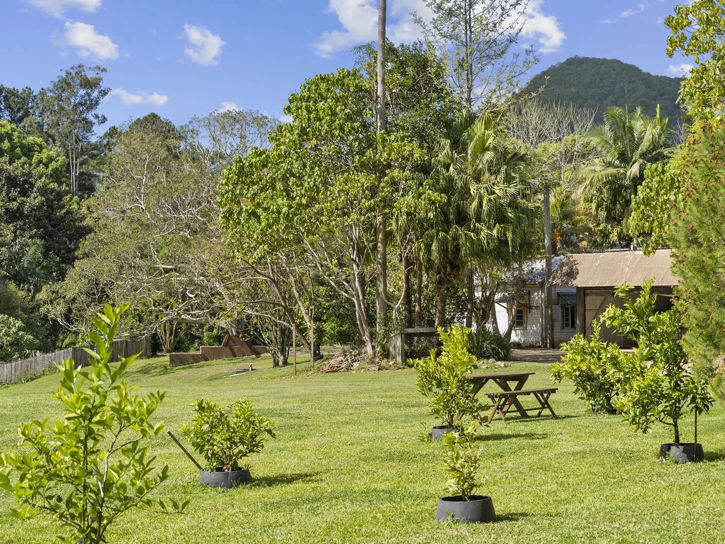 Additional image 29 of 64 Mount Warning Road, Mount Warning NSW 2484