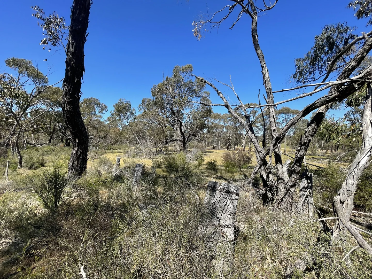 Additional image 23 of Allotment 7D Wedderburn Road, St Arnaud East VIC 3477