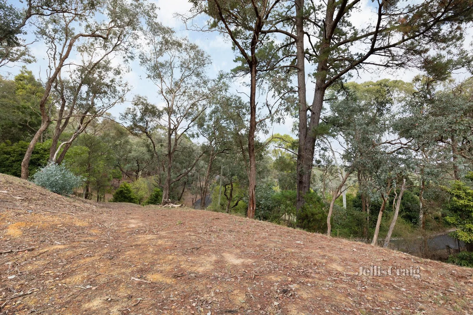 Additional image 4 of 28 Lynnbrae Avenue, Hurstbridge VIC 3099