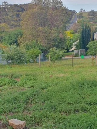 20 Sarah Street, Penrice SA 5353