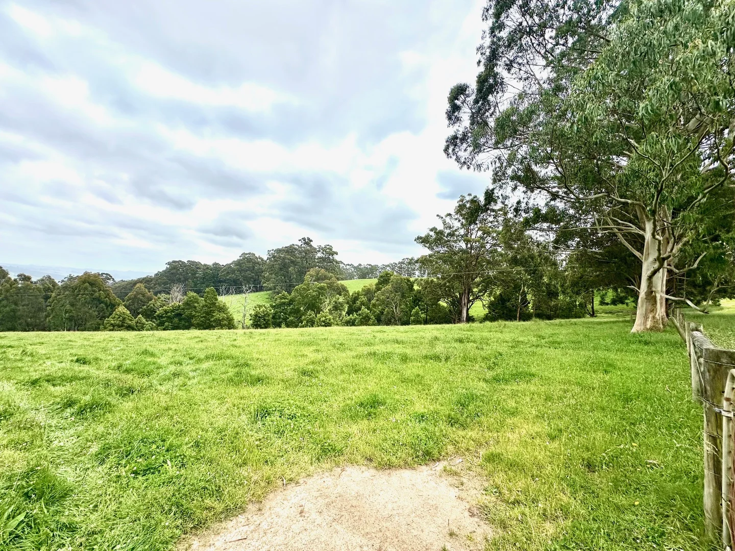 Additional image 9 of 655 Old Thorpdale Road, Mirboo North VIC 3871