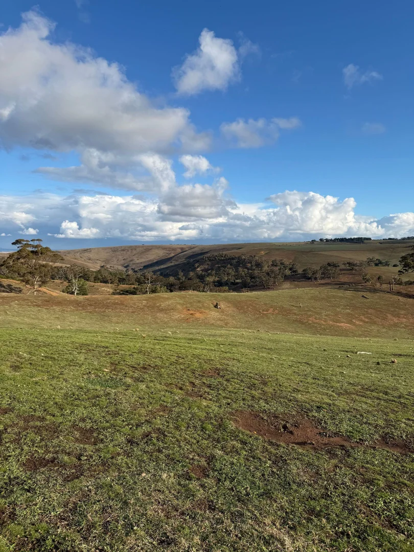 Additional image 4 of 499 Swans Rd, Darley VIC 3340