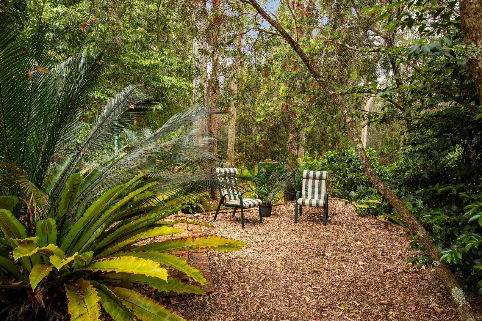 Additional image 30 of 28 Burri Palm Way, Surfside NSW 2536