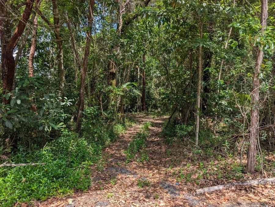 Additional image 3 of Lot 4 Pine Creek Road, East Trinity QLD 4871