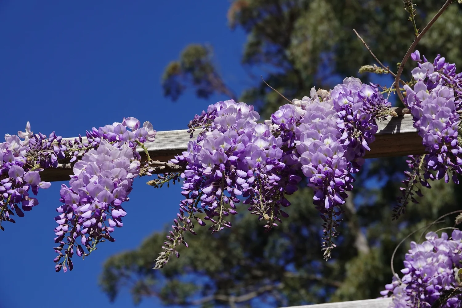 Additional image 17 of 10223 Armidale Road, Hernani NSW 2453