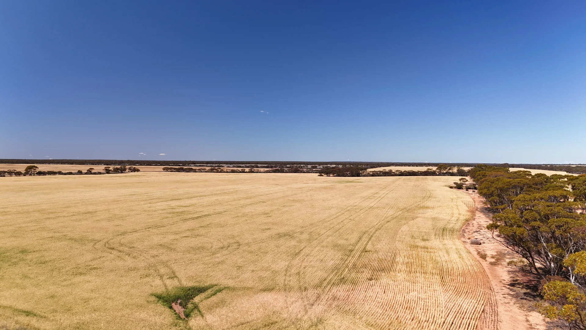 Additional image 41 of 3279 Calzoni Road, Hyden WA 6359