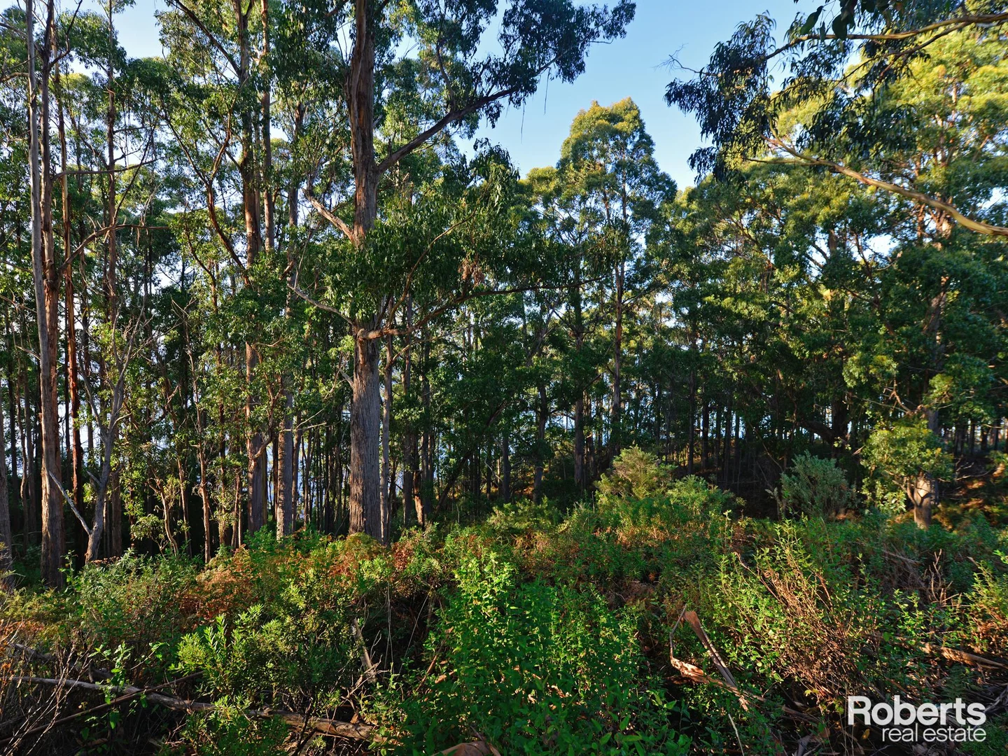 Additional image 9 of Lot 1 Lady Bay Road, Southport TAS 7109