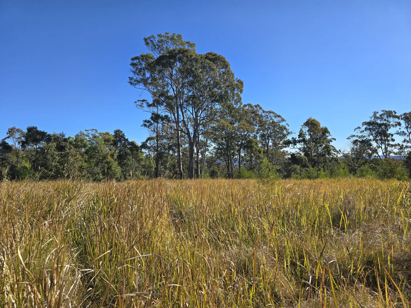 Additional image 19 of 0 SUNDAY CREEK ROAD, Jimna QLD 4515