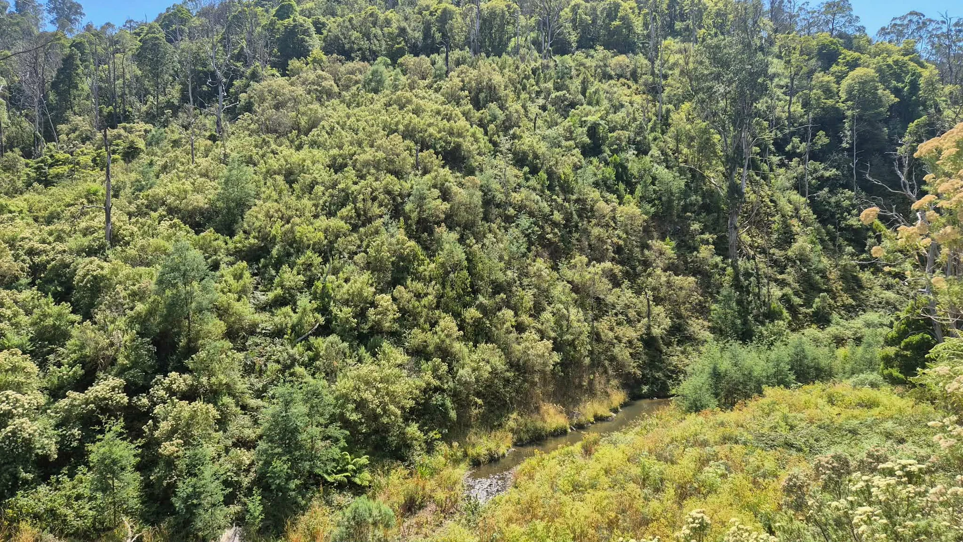 Additional image 5 of 1 Upper Middle Creek Road, Budgeree VIC 3870