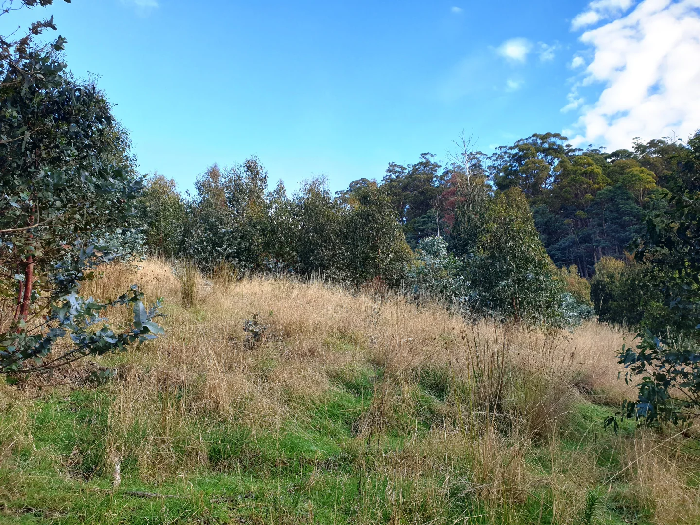 Additional image 7 of Lot 8 Paddys Lane, Franklin TAS 7113