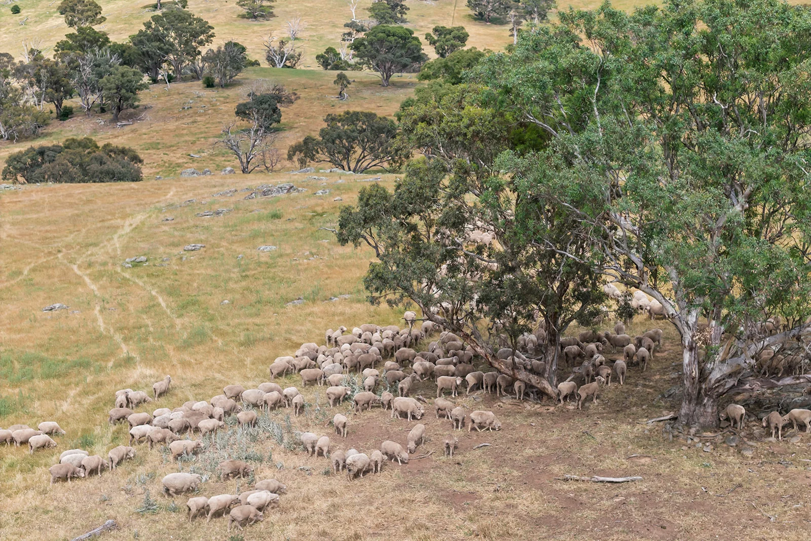 Additional image 9 of 193 Lucernvale Road, Yass NSW 2582