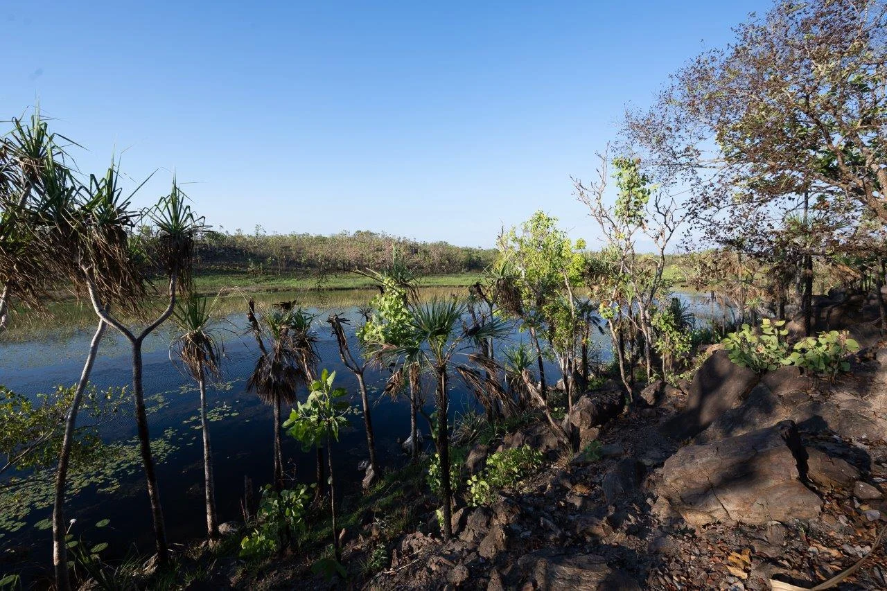 Additional image 21 of Darwin River NT 0841